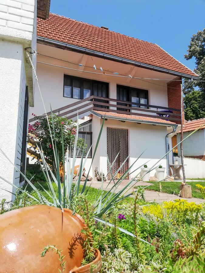 Rtanjski Konak Boljevac Bagian luar foto
